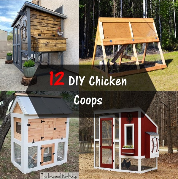 DIY Chicken Coops – DIY Garden, Crafts and More