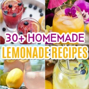 30 Homemade Lemonade Recipes To Quench Your Thirst – Diy Garden, Crafts 